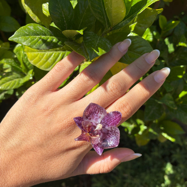 Anillo orquídea morada con puntos