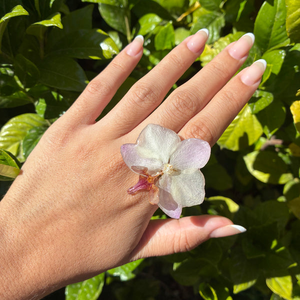 Anillo orquídea rosa/ blanquecina y fucsia