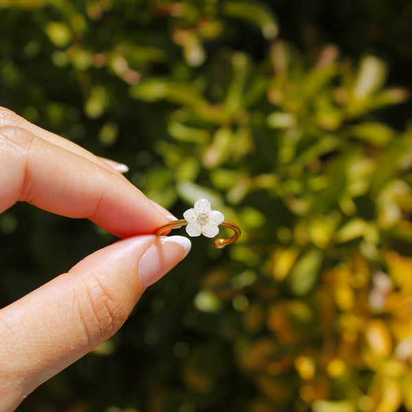 Anillo flor blanca