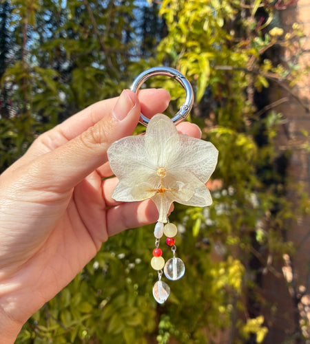Charm orquídea blanca