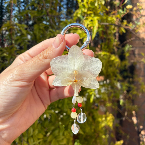 Charm orquídea blanca