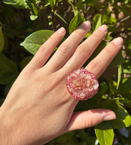 Anillo clavel blanco y rojo