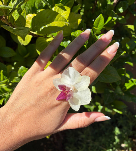 Anillo orquídea blanca y fucsia