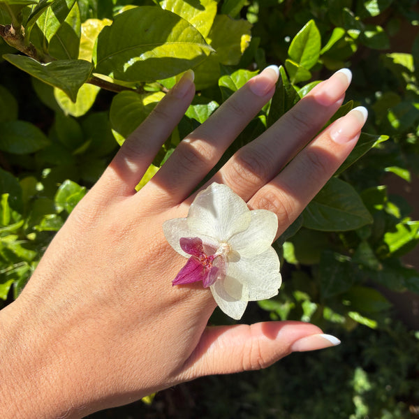Anillo orquídea blanca y fucsia