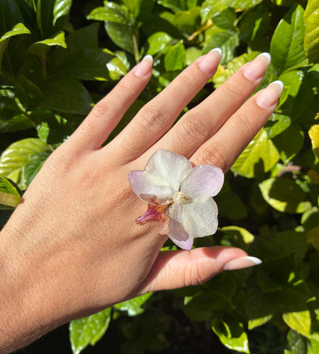 Anillo orquídea rosa/ blanquecina y fucsia