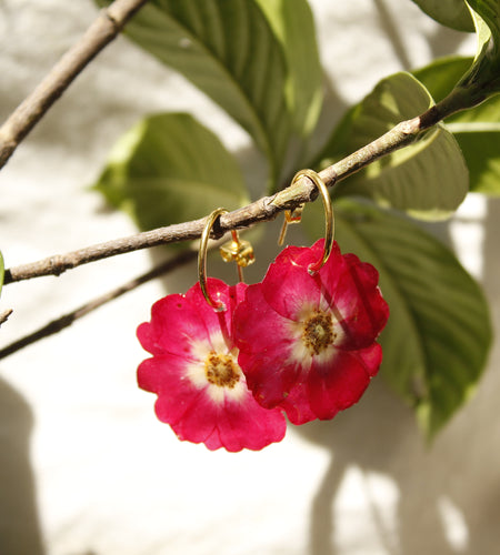 Aros flor