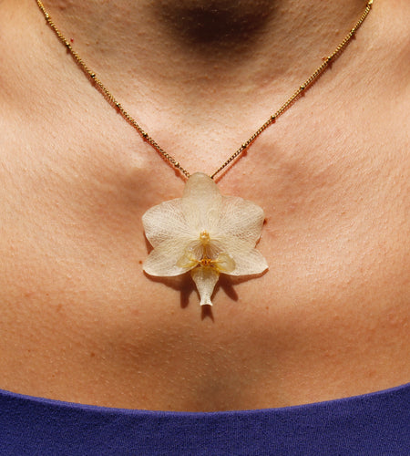 Collar orquídea blanca