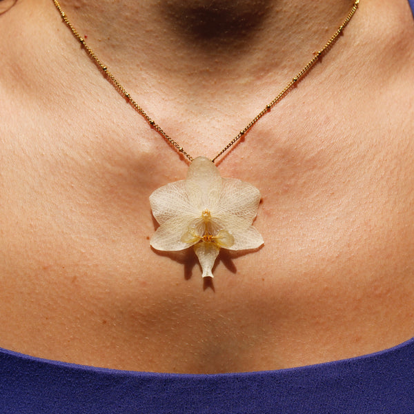 Collar orquídea blanca