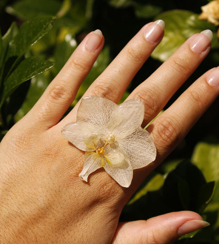 Anillo orquídea blanca grande