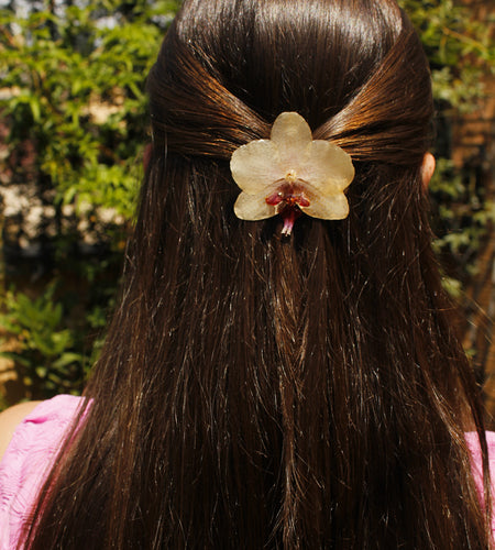 Pinza orquídea amarilla pastel
