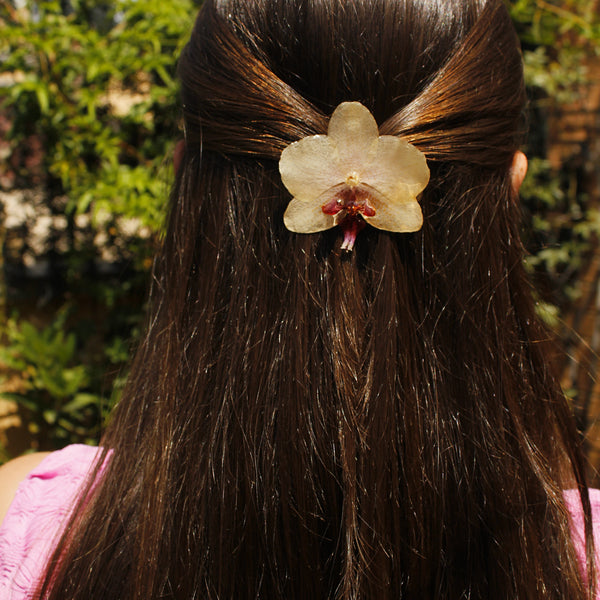 Pinza orquídea amarilla pastel
