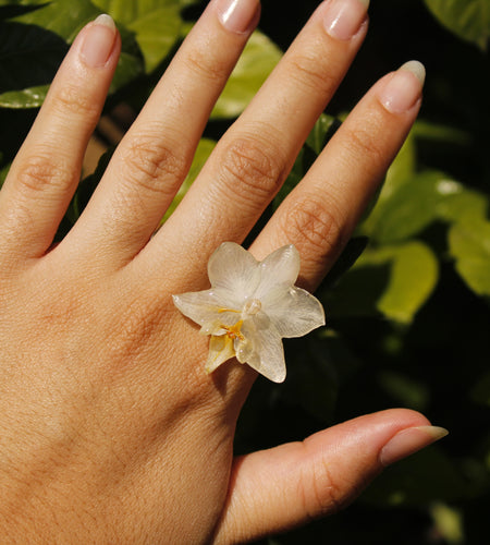 Anillo orquídea blanca pequeña