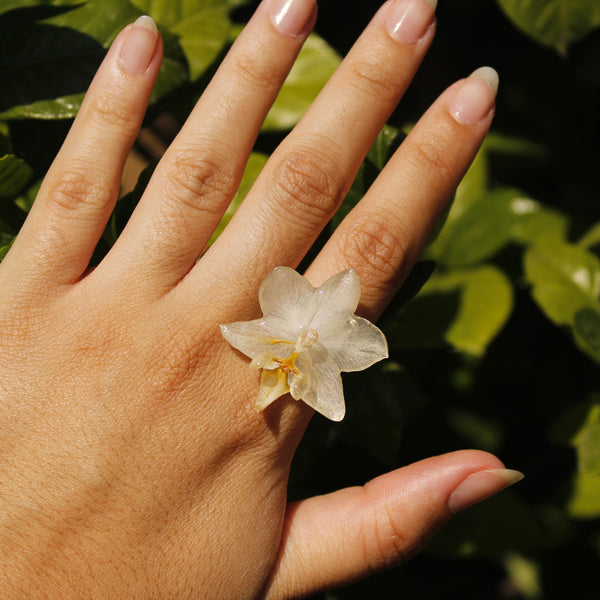 Anillo orquídea blanca pequeña