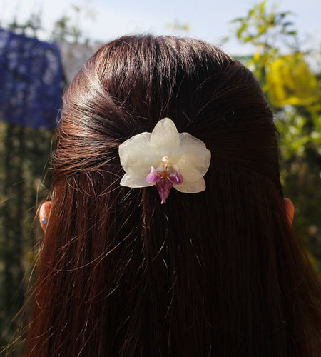 Pinza orquídea blanca y fucsia