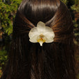 Pinza orquídea blanca miniatura 3