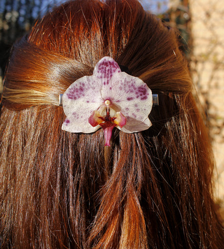 Pinza orquídea blanca y morada