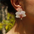 Pendientes orquídea blanca y rosa miniatura 1