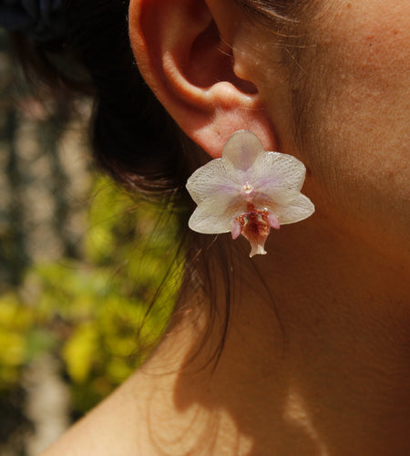 Pendientes orquídea blanca y rosa
