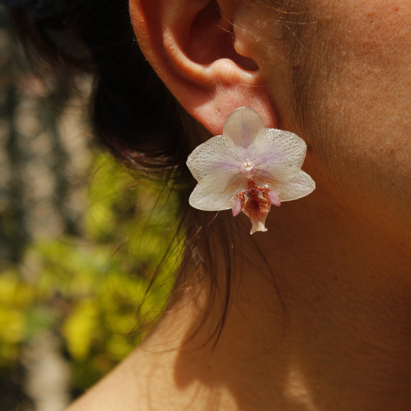 Pendientes orquídea blanca y rosa