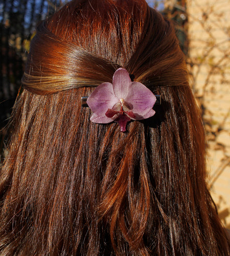Pinza orquídea morada