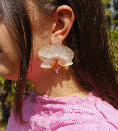 Pendientes pegados orquídea blanca y rosa