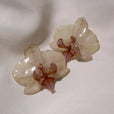 Pendientes pegados orquídea blanca y rosa miniatura 2