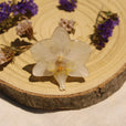 Anillo orquídea blanca grande miniatura 2