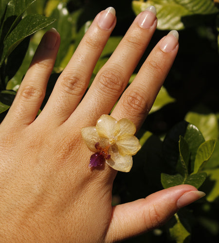 Anillo orquídea amarilla y morada
