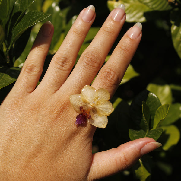 Anillo orquídea amarilla y morada