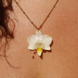 Collar orquídea blanca pequeña miniatura 3
