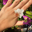 A nielo orquídea blanca miniatura 1