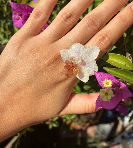 A nielo orquídea blanca