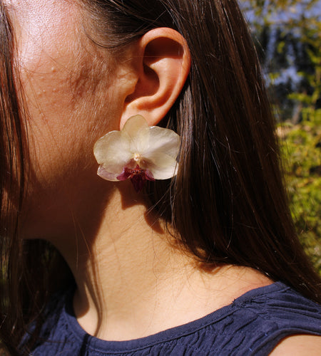 Pendientes orquídea blanca y fucsia pegados