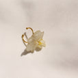 Anillo orquídea blanca miniatura 2