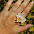 Anillo orquídea blanca miniatura 1