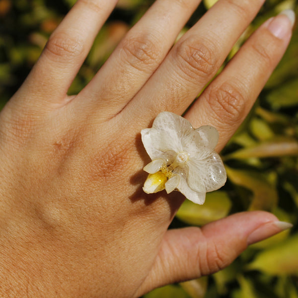 Anillo orquídea blanca