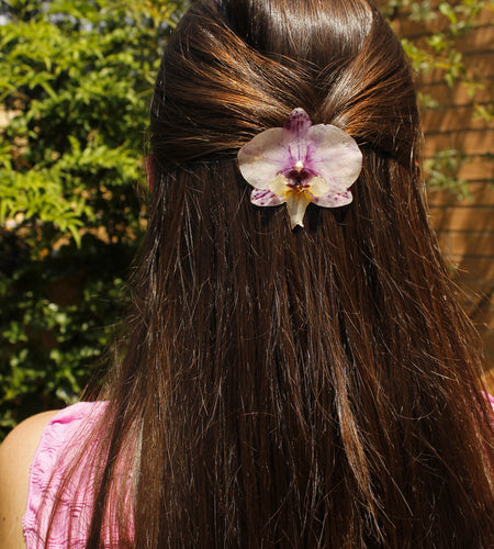 Pinza orquídea manchas moradas