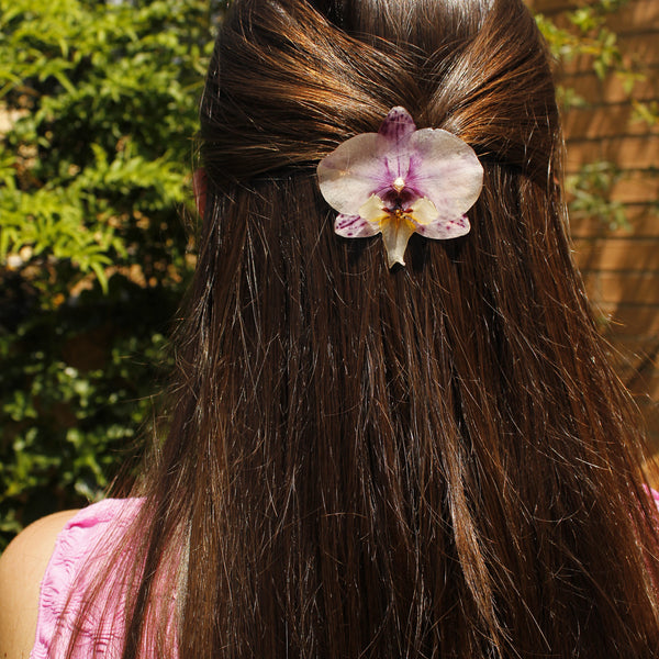 Pinza orquídea manchas moradas