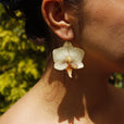 Pendientes orquídea blanca con aro pequeño miniatura 1
