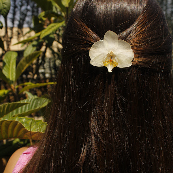 Pinza orquídea blanca