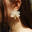 Pendientes orquídea blanca pegados miniatura 1