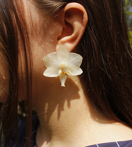 Pendientes orquídea blanca pegados