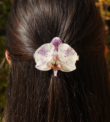 Pinza orquídea blanca y morada