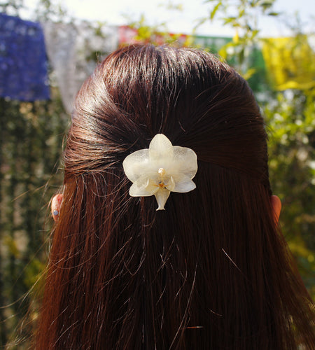 Pinza orquídea blanca