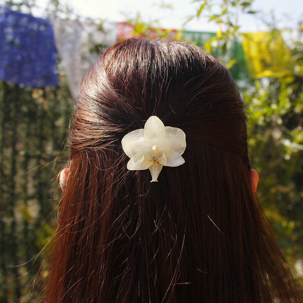 Pinza orquídea blanca