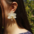 Pendientes orquídea blanca pegados miniatura 3