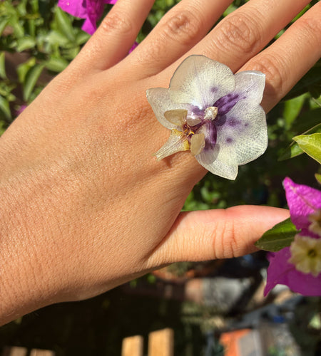Anillo orquídea blanco y morado