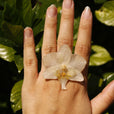 Anillo orquídea blanca grande miniatura 4
