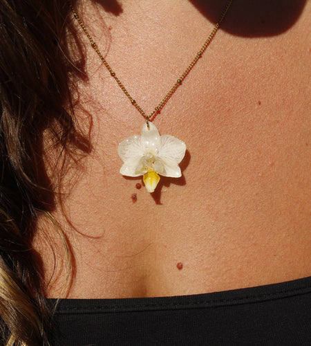 Collar orquídea blanca pequeña