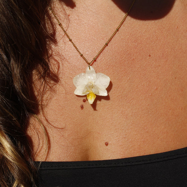 Collar orquídea blanca pequeña